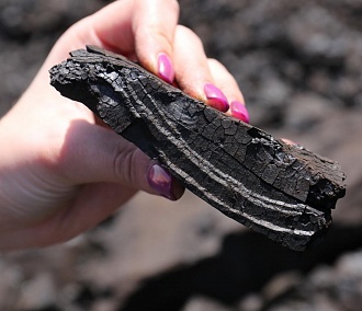 Запасы угля на ТЭЦ Новосибирска в четыре раза выше нормы