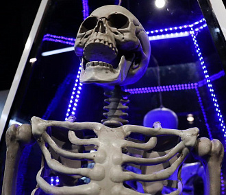 Пришли напугаться: экскурсия в Музей смерти