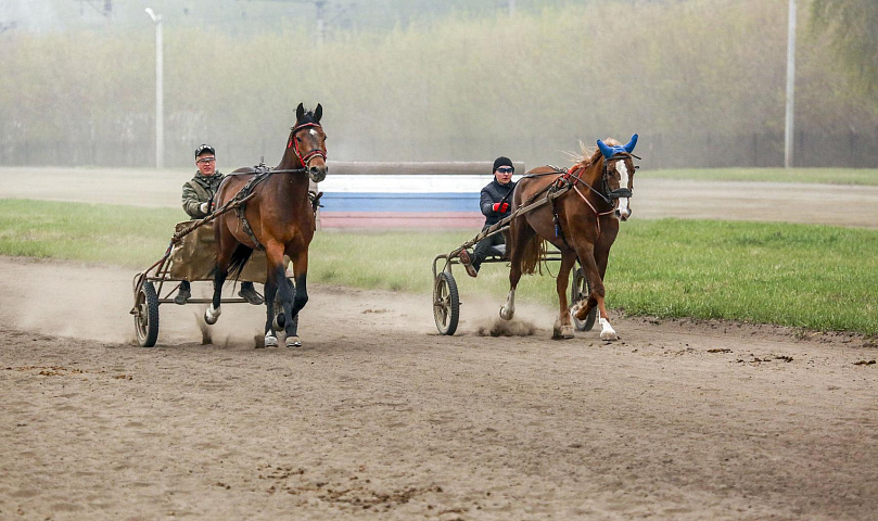 Конные бега открыли 121-й летний сезон на ипподроме в Новосибирске