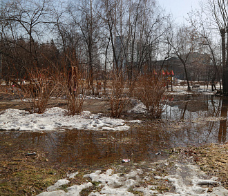 20 частных домов и семь МКД подтопило в Новосибирске за неделю