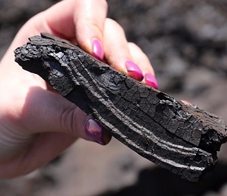 Переход ТЭЦ-5 на бурый уголь не повлияет на экологию и тарифы — СГК