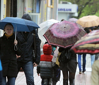Дожди в Новосибирске зарядили на всю неделю — синоптики