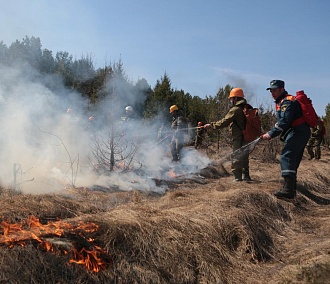 Огонь с Алтая: уже 64 лесных пожара потушили в Новосибирской области