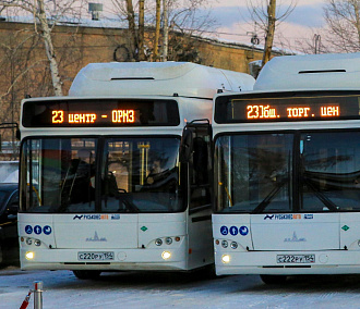 Три новых автобусных маршрута откроют в 2022 году в Новосибирске