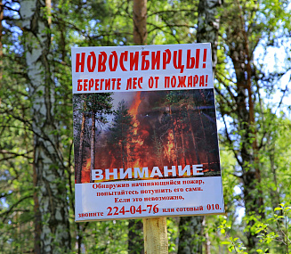 До 800 тысяч вырастут штрафы за костры и палы травы в Новосибирске