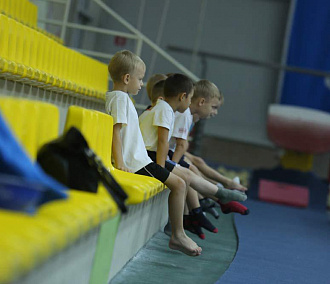 Центр спортивной гимнастики откроют в Новосибирске в 2018 году