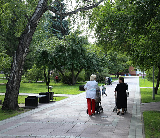 Какие парки Новосибирска станут лучше – решают горожане