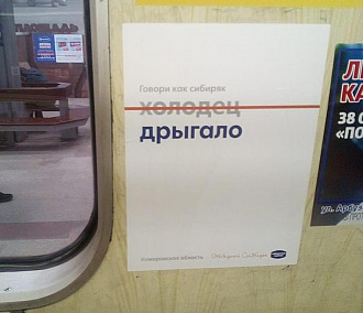 Хренодёр или горлодёр: плакаты в метро учат новосибирцев говорить правильно