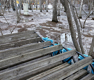 Зелёные выборы: тактильная плитка в парках Новосибирска