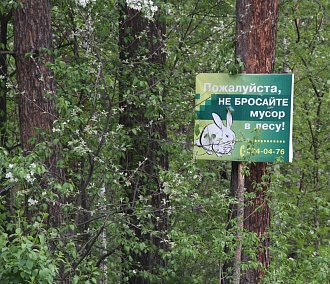 Новосибирцам запретят ходить в лес на майских праздниках