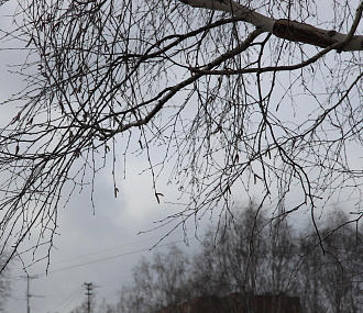О порывистом ветре 13 апреля предупреждают жителей Новосибирска