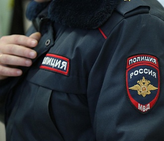 Хозяин терьера пошёл под суд за избиение полицейского в Новосибирске