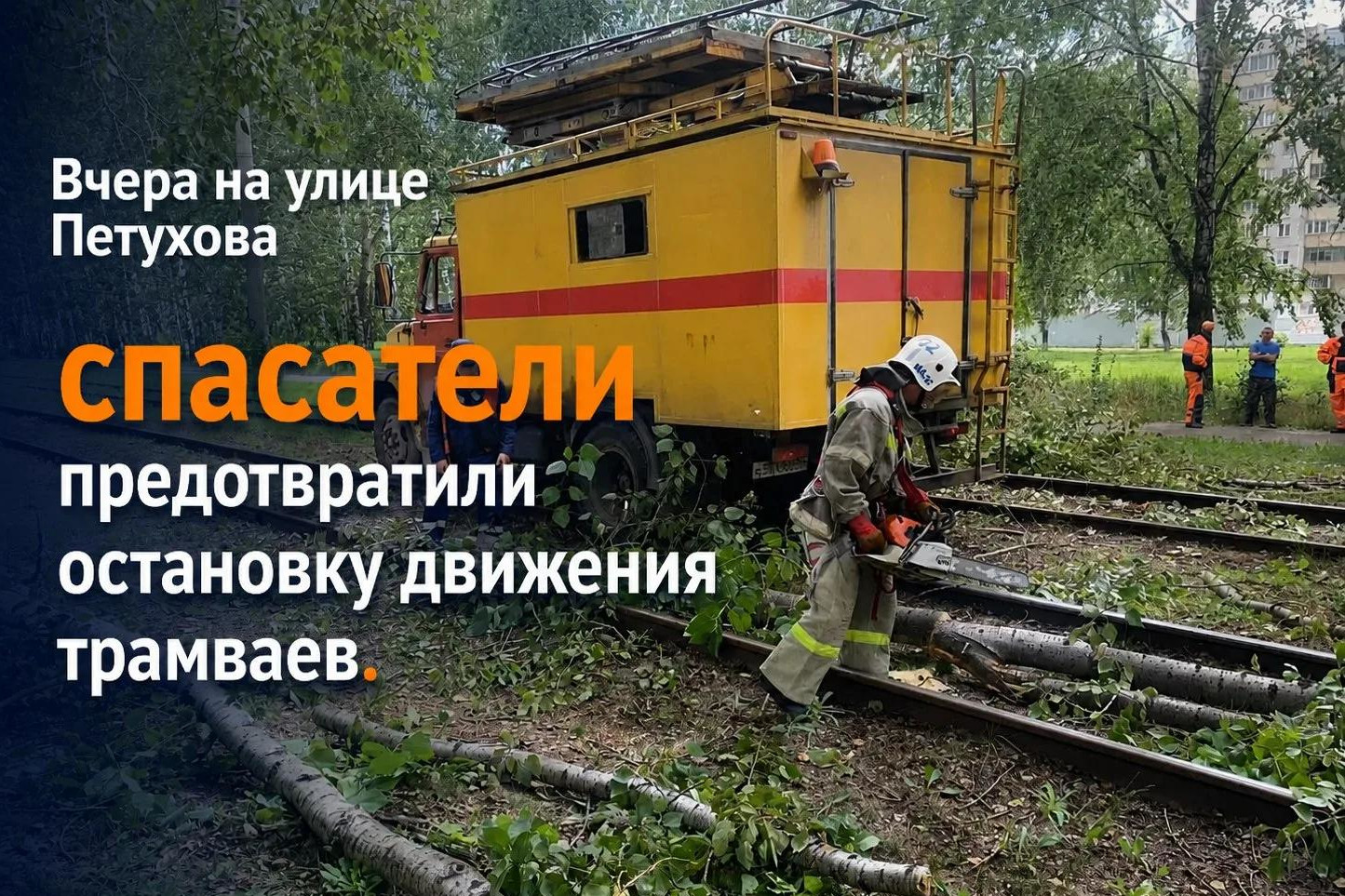 Порыв ветра повалил деревья на трамвайные пути в Новосибирске