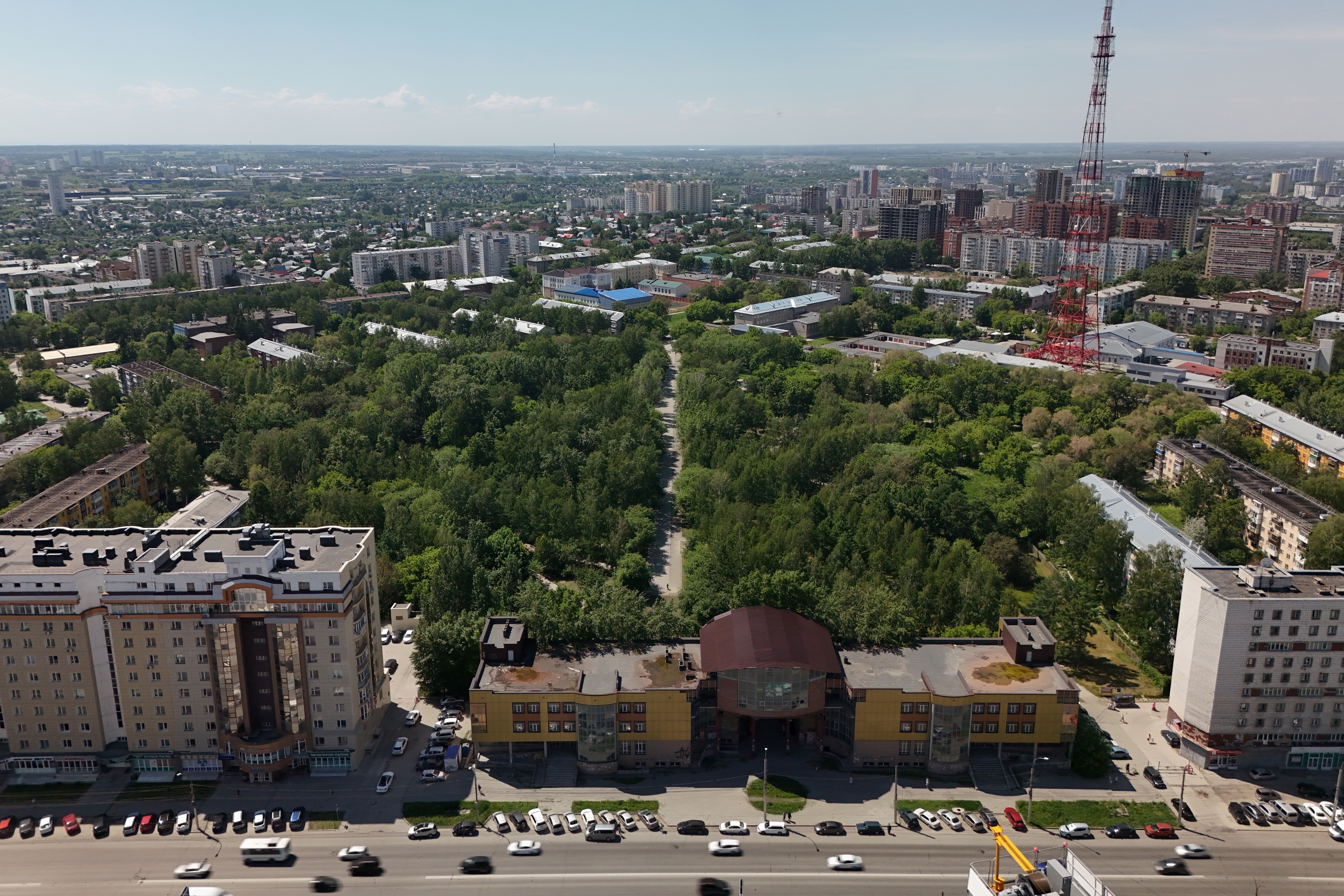 100 кг семян посеют на газоны в сквере Сибиряков-Гвардейцев