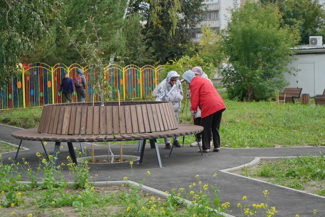 Асфальт вместо народных троп: дворовые скверы открыли в Академгородке