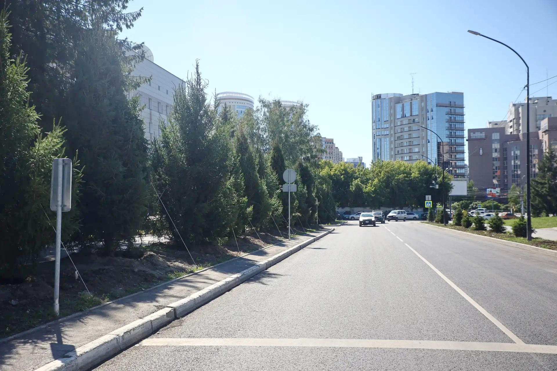 20 шестиметровых елей высадили в центре Новосибирска