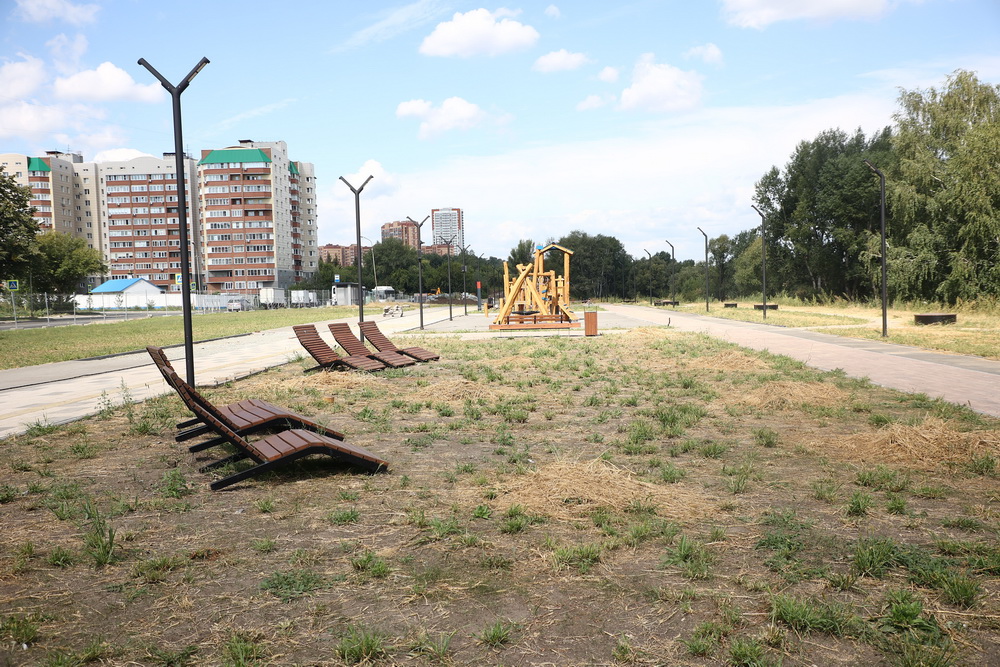 Народные облигации продадут новосибирцам ради благоустройства парков