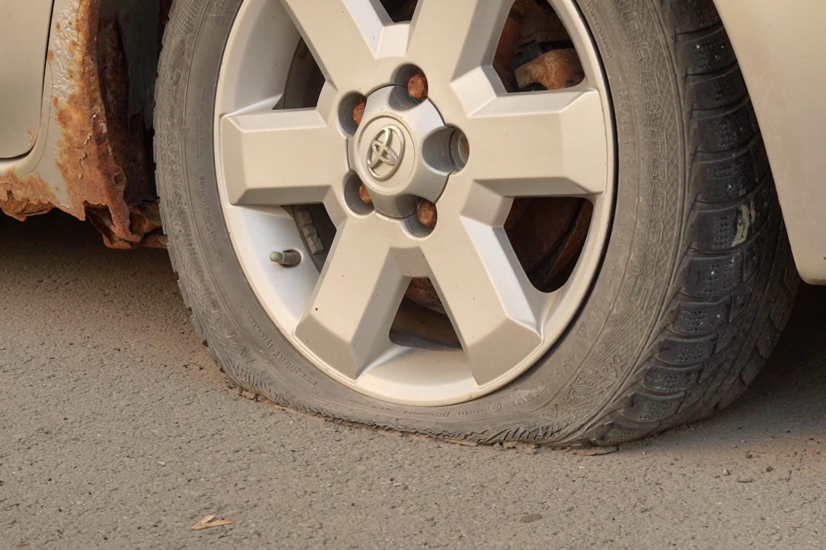 Засыпанные листвой автомобили эвакуируют с улиц Новосибирска