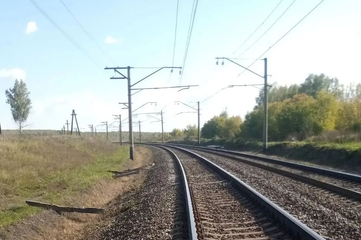 Вышедшего из леса пенсионера сбил поезд в Новосибирской области (18+)