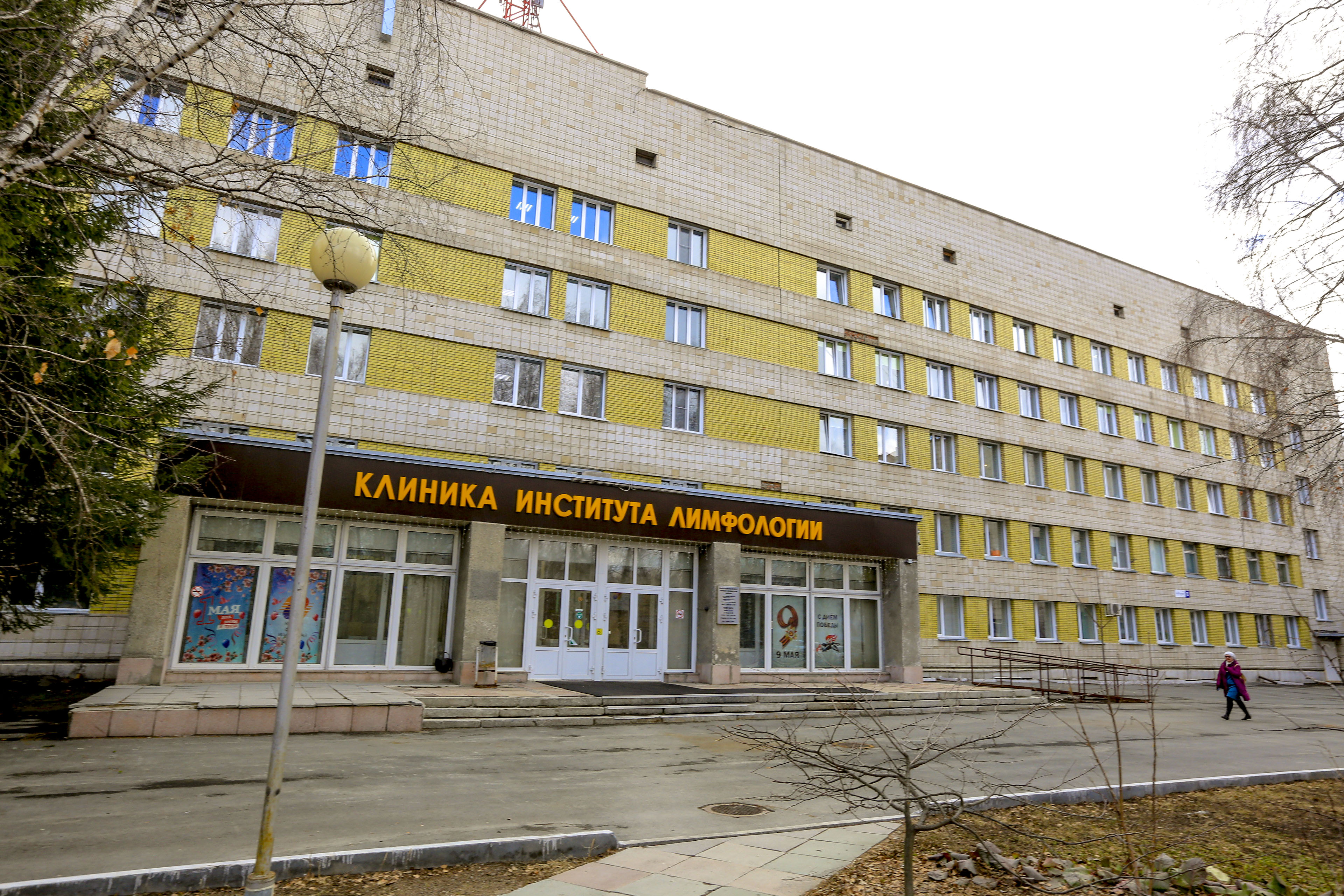 Новосибирские учёные предложили лечить роговицу клетками жира из щёк