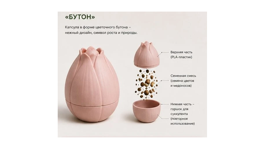 Новосибирская аспирантка создала «солонку» для озеленения городов