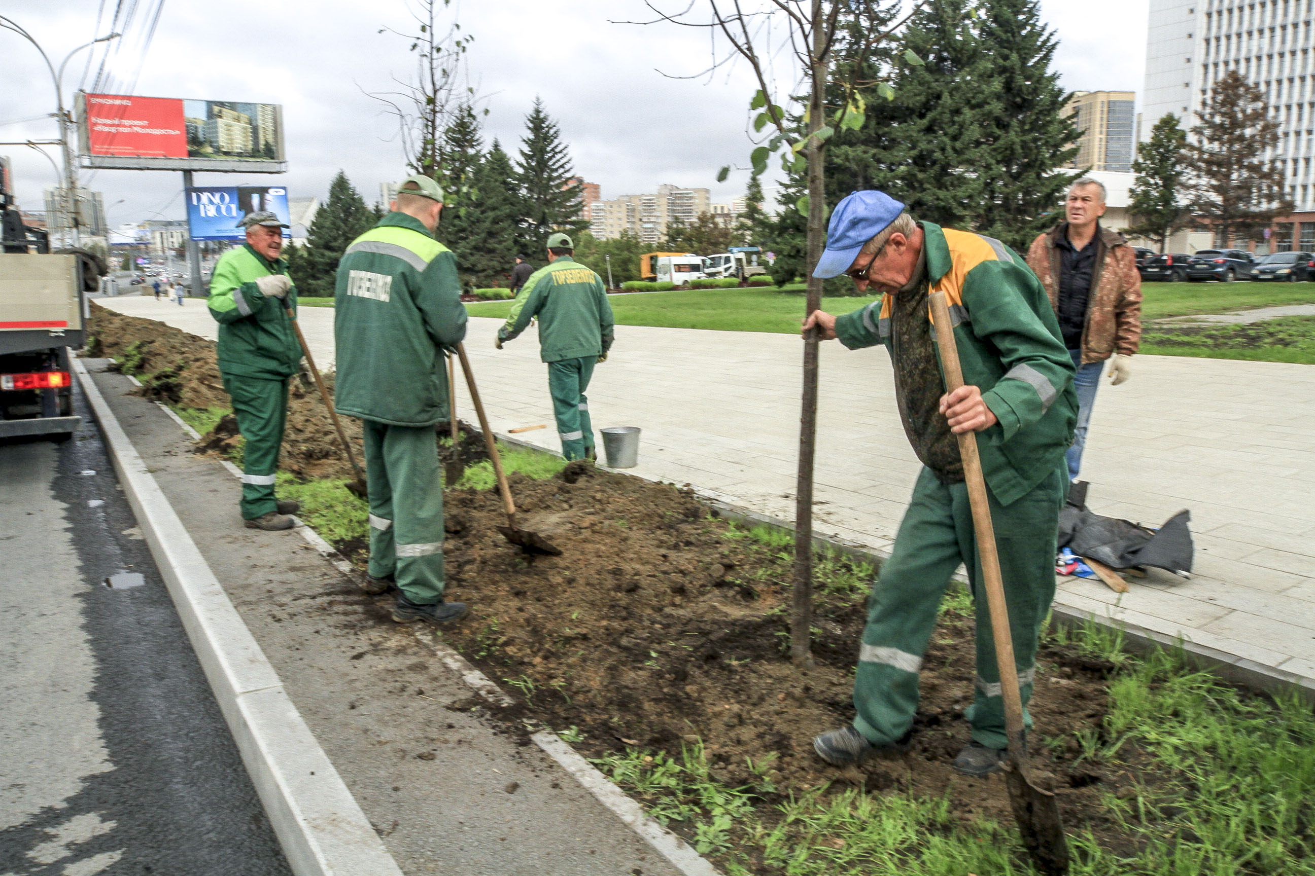 Липовую аллею высаживают для создания зелёного променада на улице Кирова