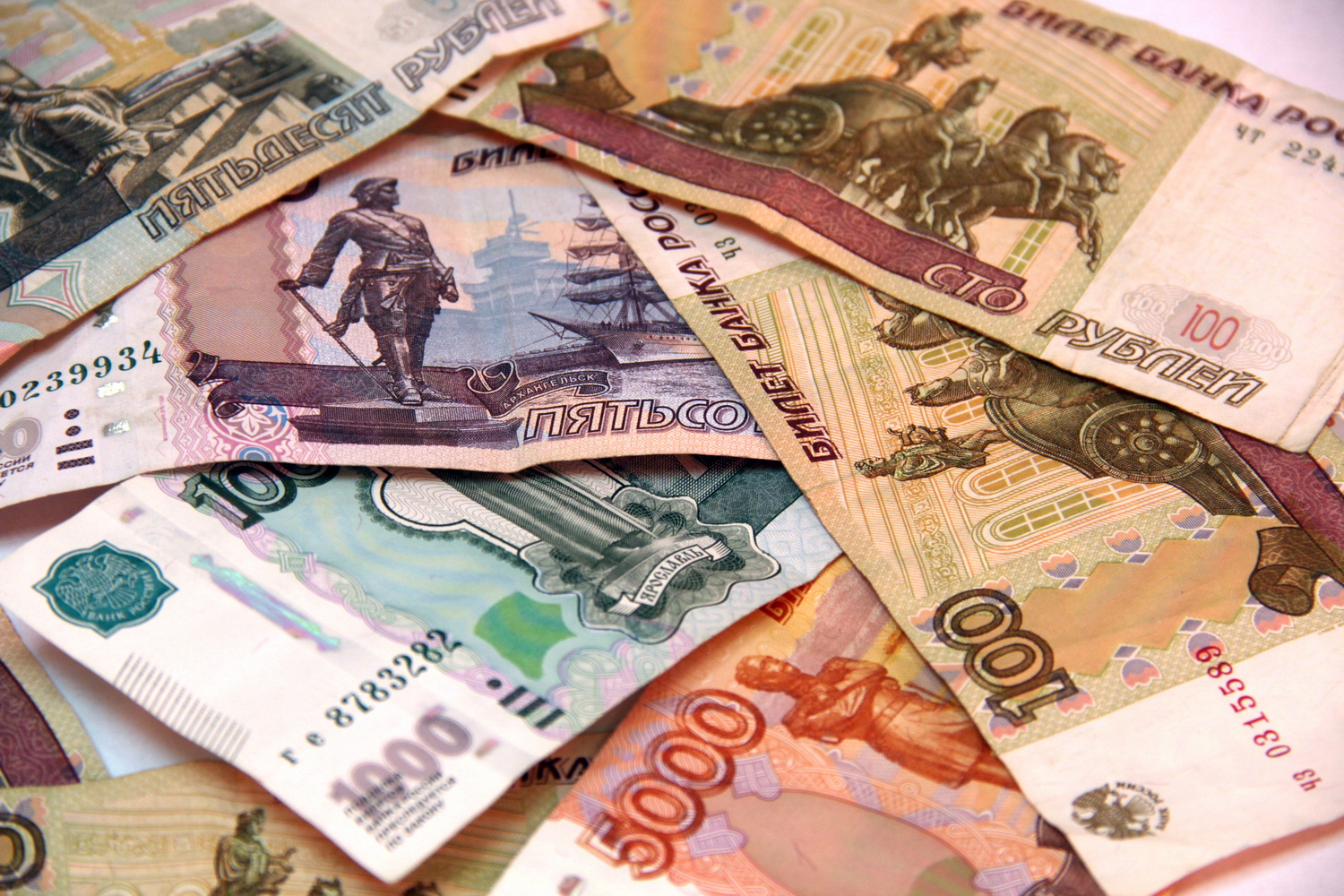 Новосибирские НКО потратят 16 миллионов на поддержку семей бойцов