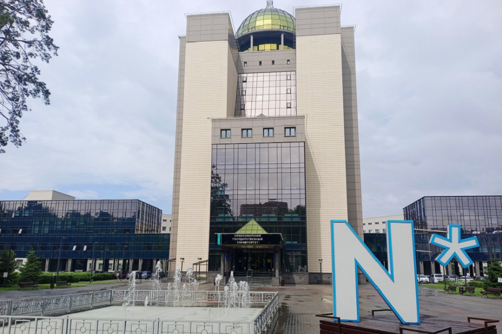 НГУ запатентовал рецепт катализатора для превращения пластика в топливо