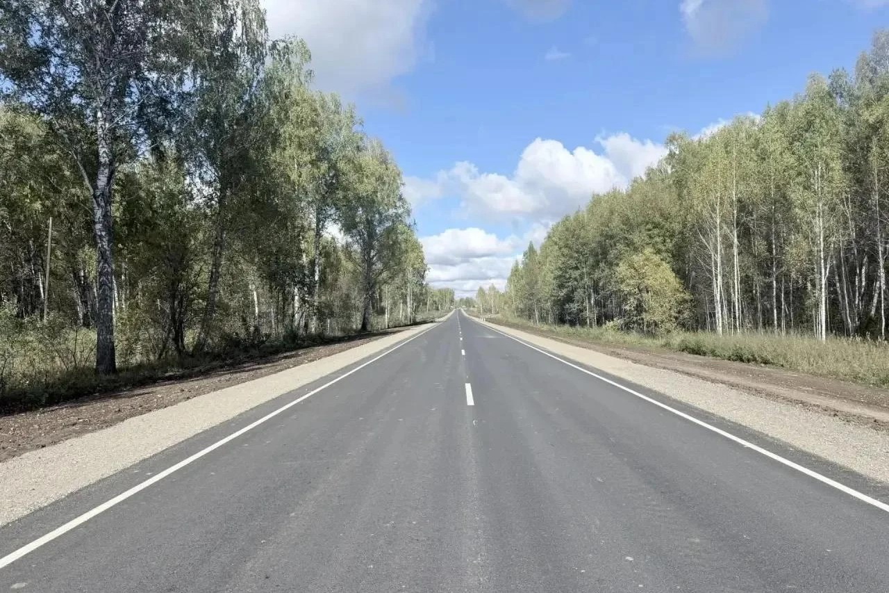 Новый асфальт уложили на дороге к лагерю «Берёзка» под Новосибирском