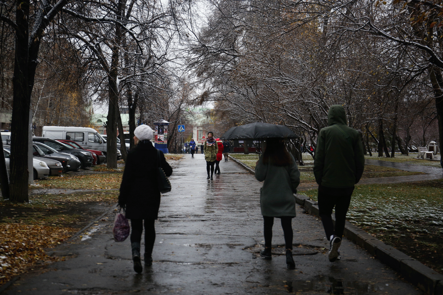 Новосибирцев просят воздержаться от посещения парков из-за непогоды