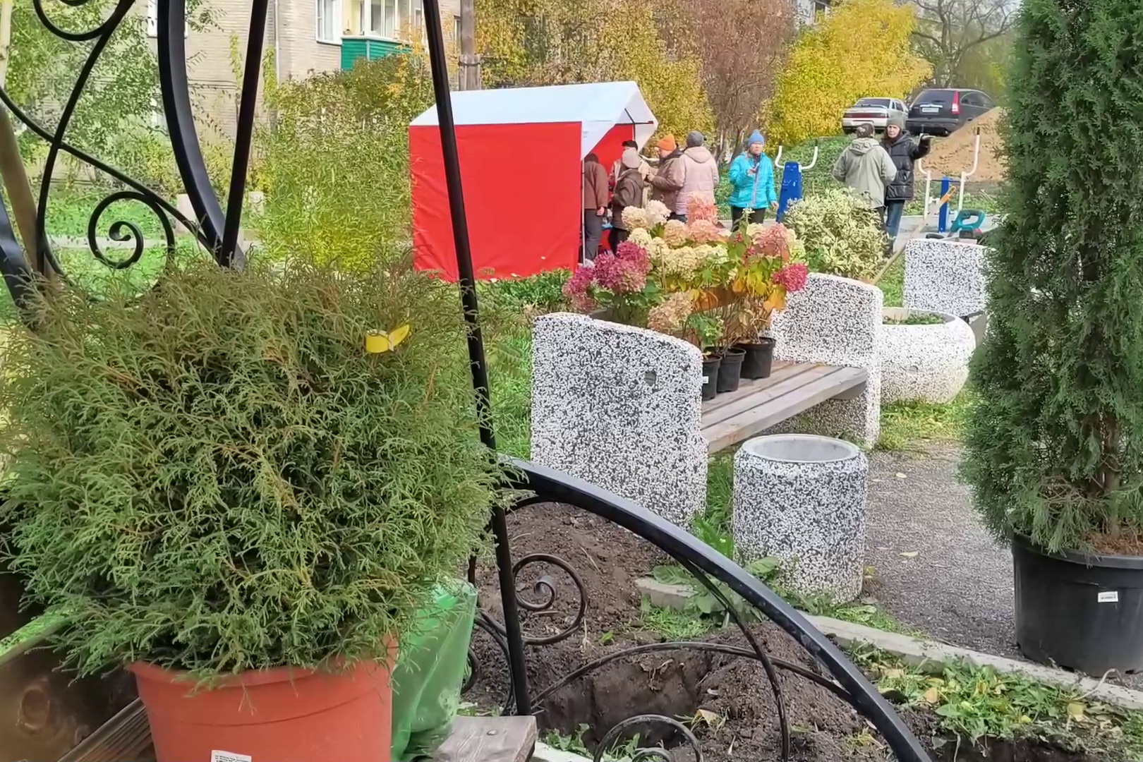 Активистов ТОС научили проектировать мини-парки в Новосибирске