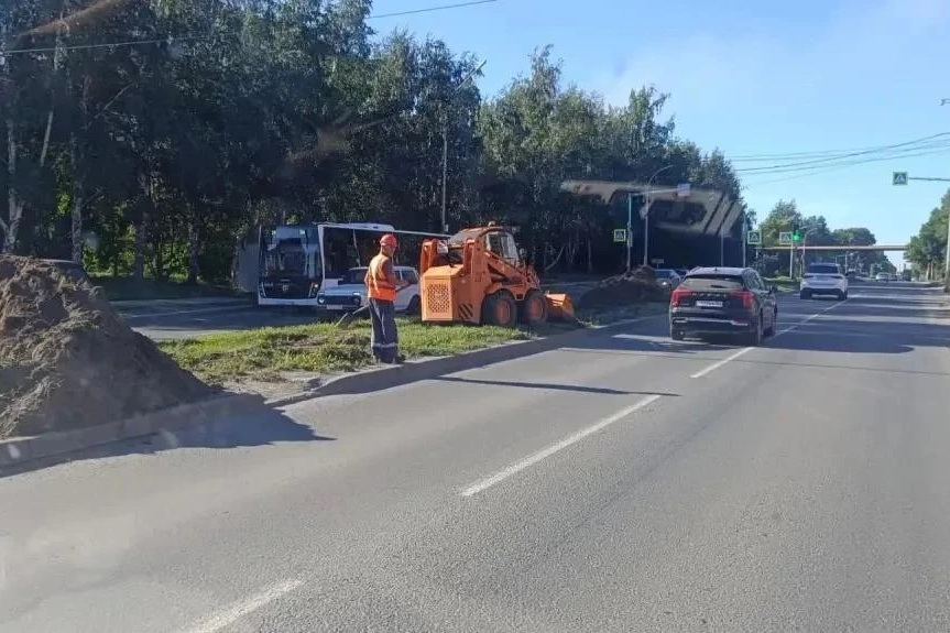 На разделительной полосе вдоль улицы Богдана Хмельницкого обновят газон