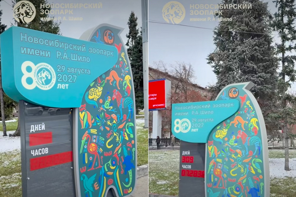 Обратный отсчёт времени до 80-летия зоопарка включили на площади Ленина