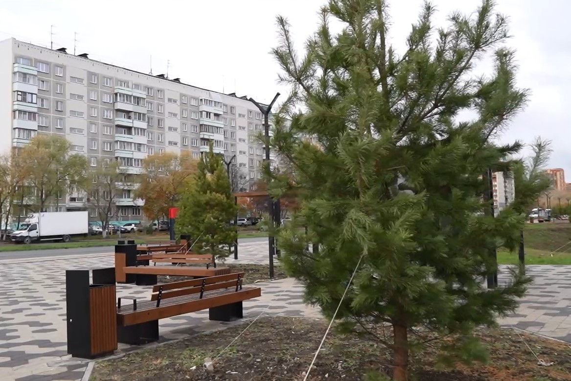 Устойчивые к ветру сосны и липы высадили в новом парке «Чемской берег»
