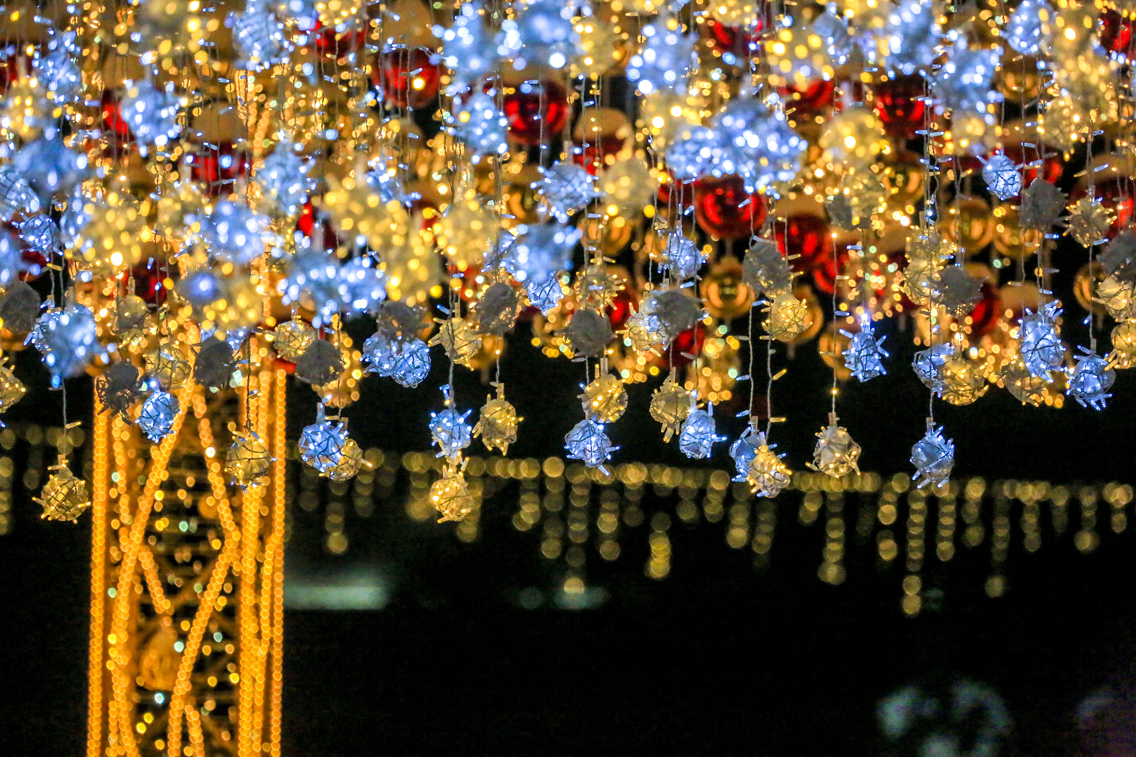 Новосибирск новогодний: улица Ленина