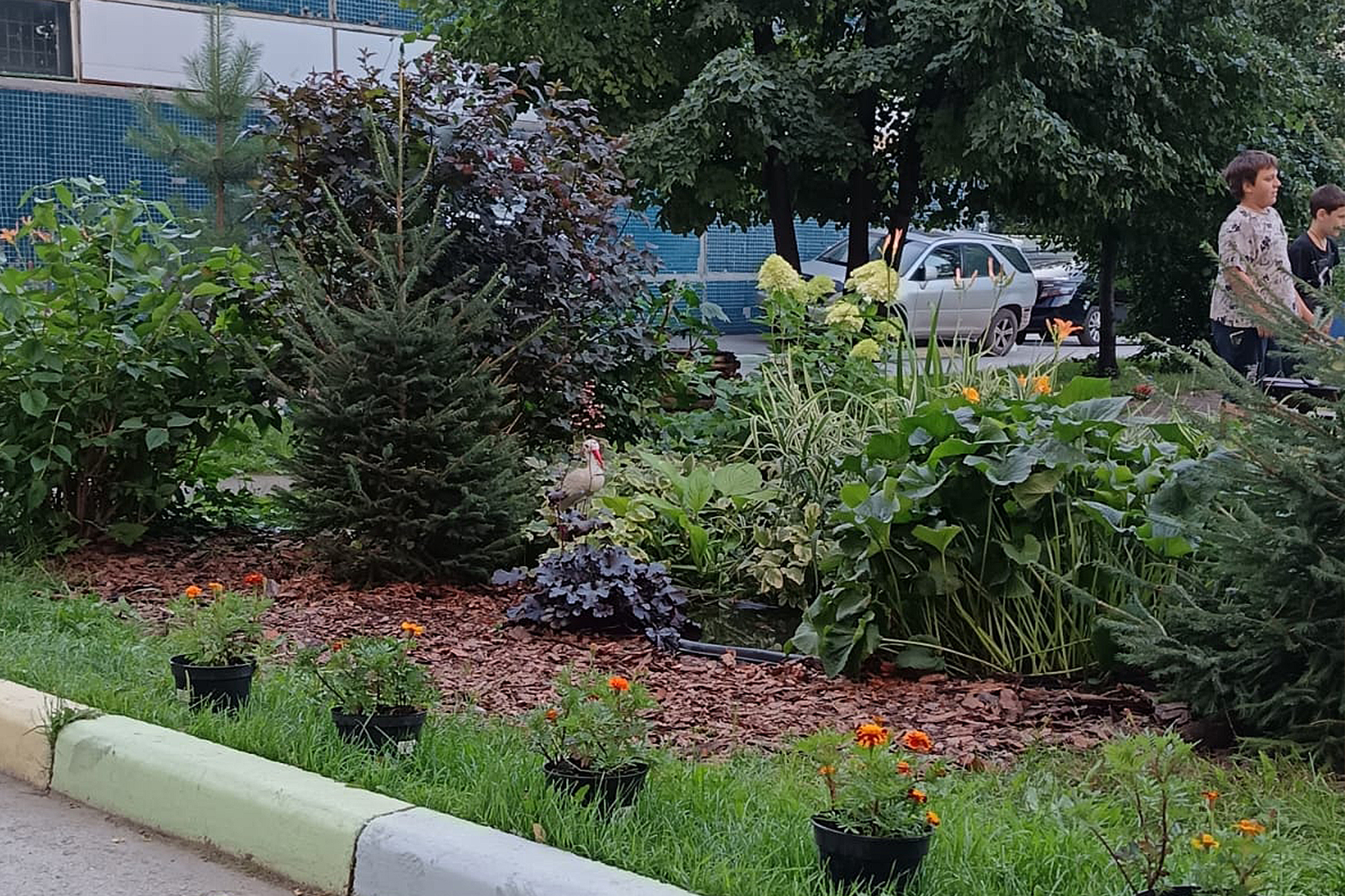 Ул. Титова, 196 (ТОС «Танкистов»)