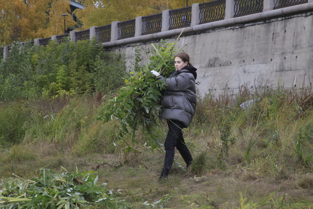 Сбор мусора на берегу Оби. Октябрь 2021 года