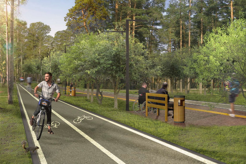 Дизайн-проект благоустройства Заельцовского парка