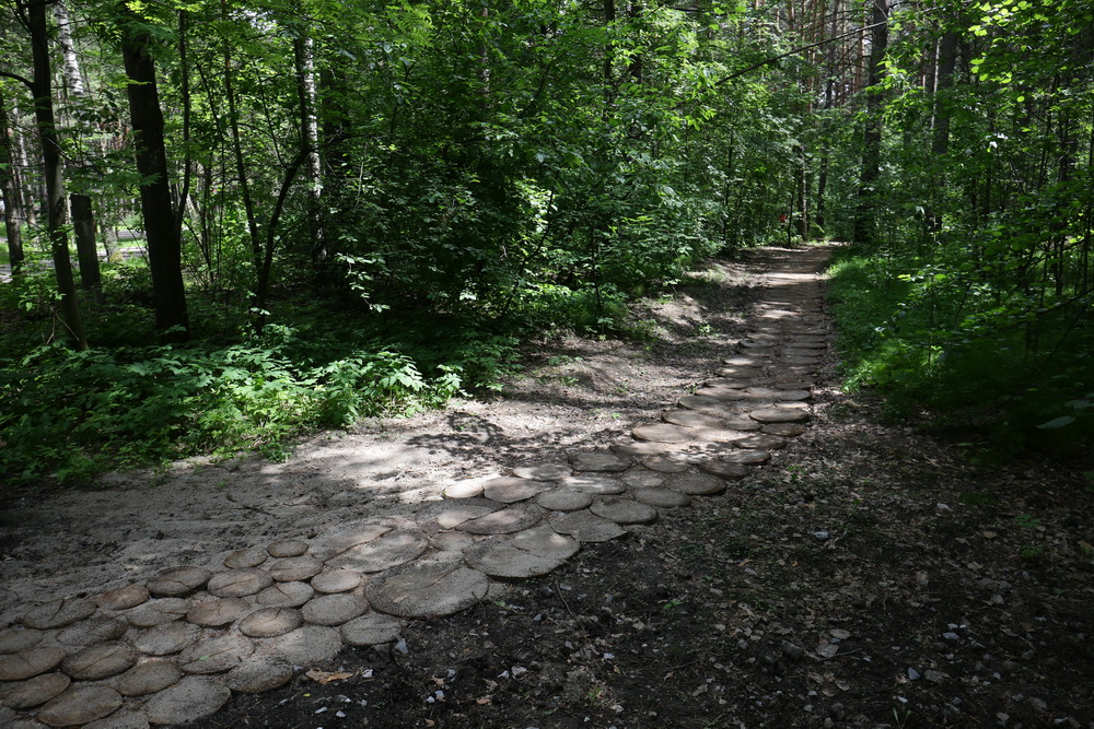 Заельцовский парк. Июнь 2022 года