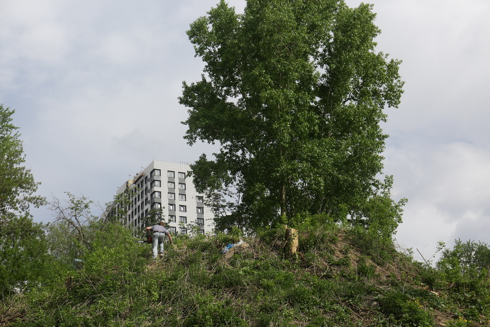 Территория будущего парка в пойме Каменки. Май 2022 года