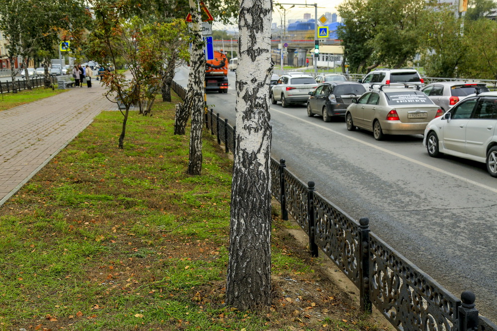 Начальник отдела сопровождения озеленения и благоустройства общественных пространств мэрии Новосибирска Светлана Гижицкая