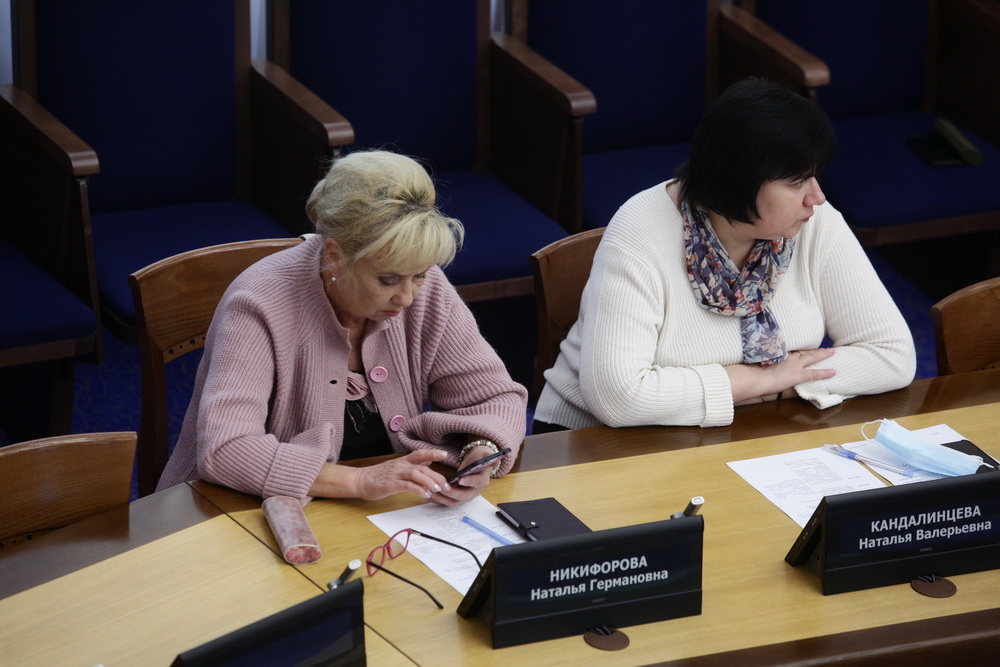 На заседании рабочей группы по водно-зелёному каркасу города