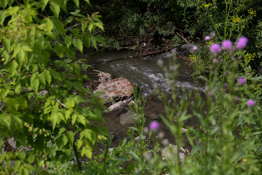 На месте будущего парка в пойме Ельцовки