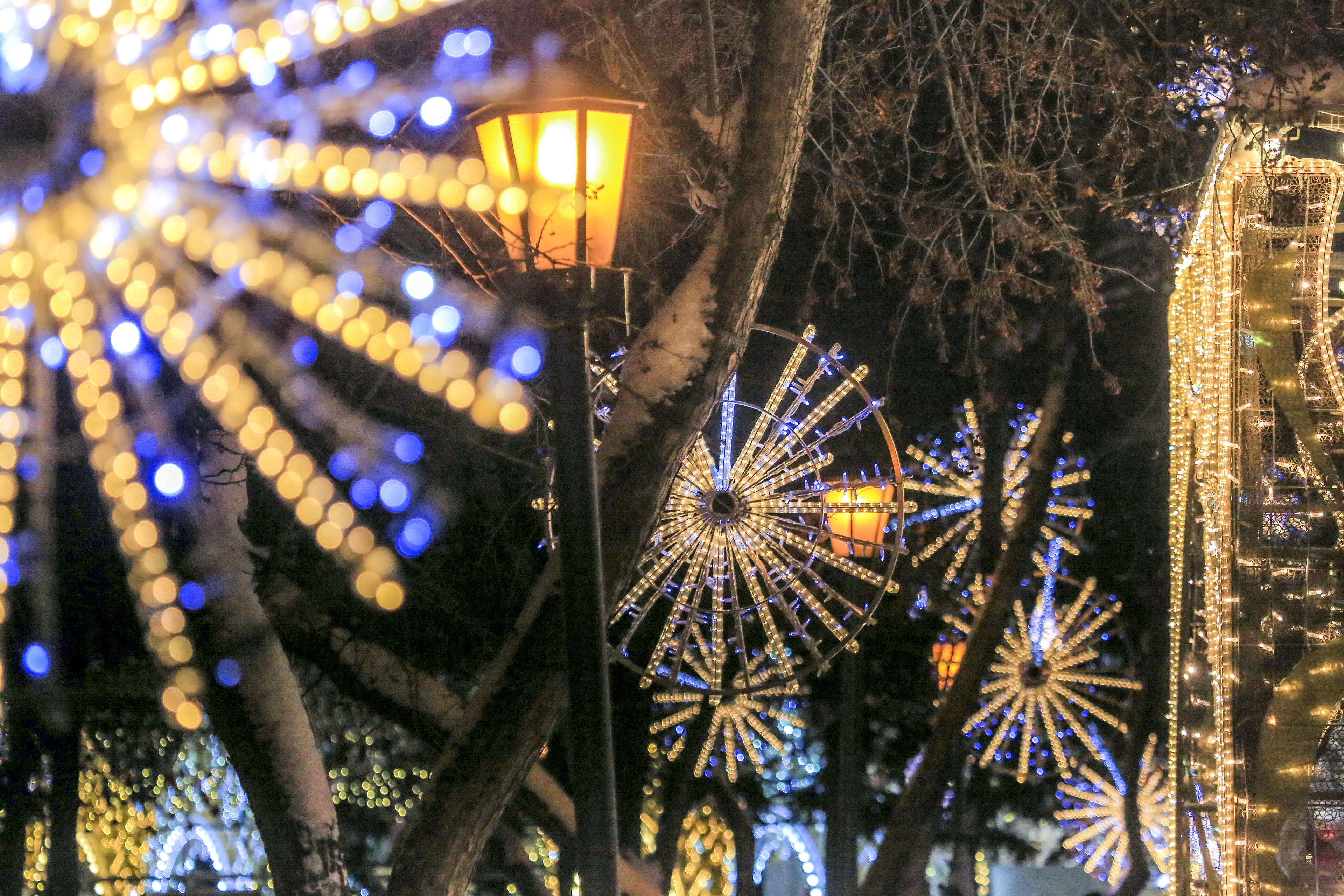 Новосибирск новогодний: Театральный сквер