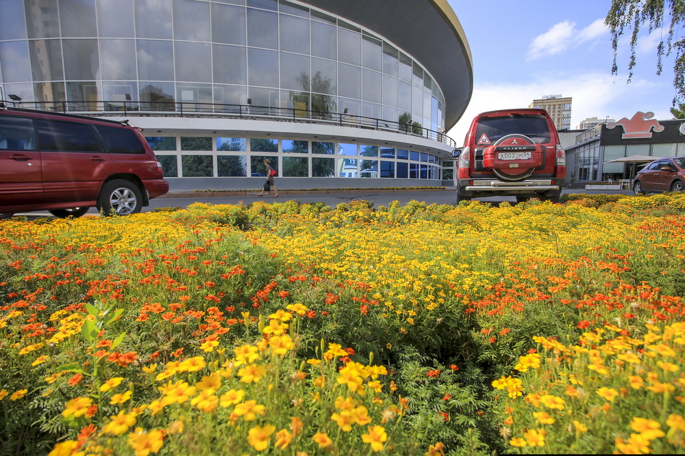 Клумба возле цирка