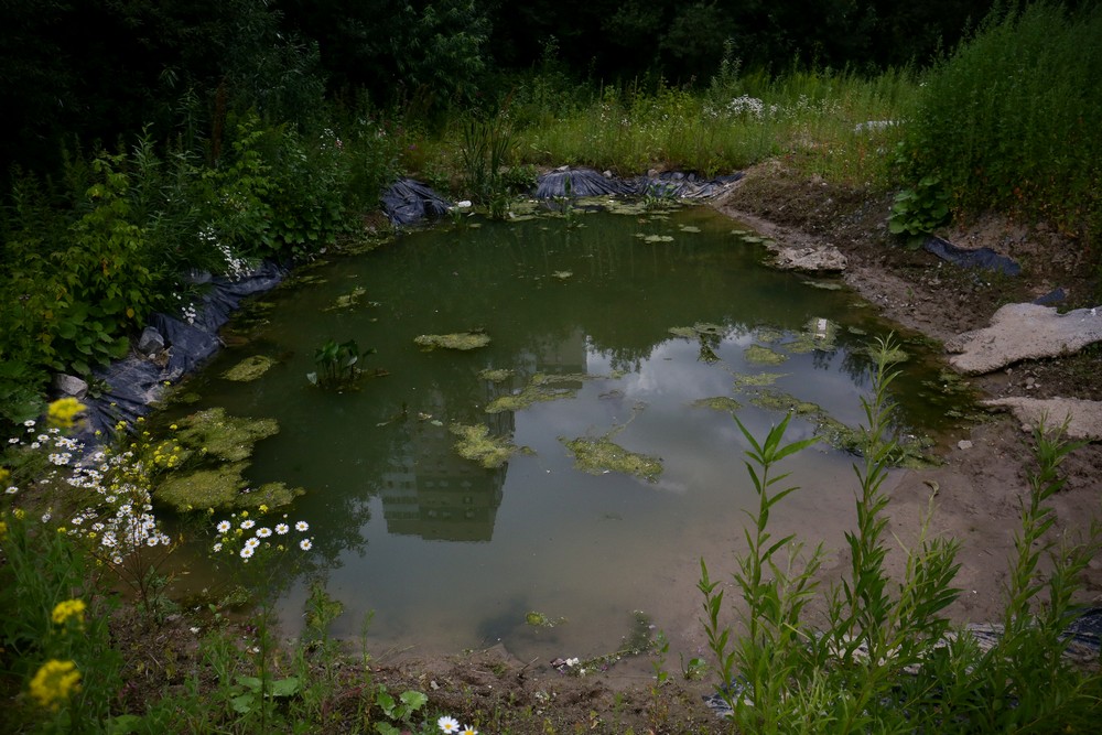 На месте будущего парка в пойме Ельцовки