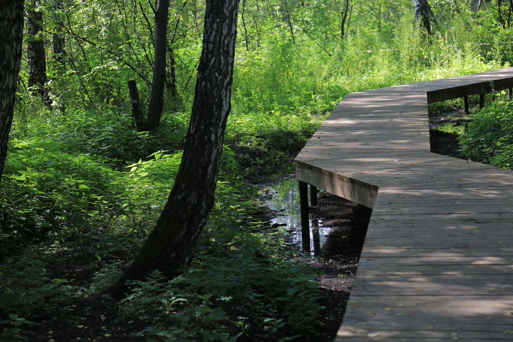 Строительство парка «Каменка». Август 2023 года