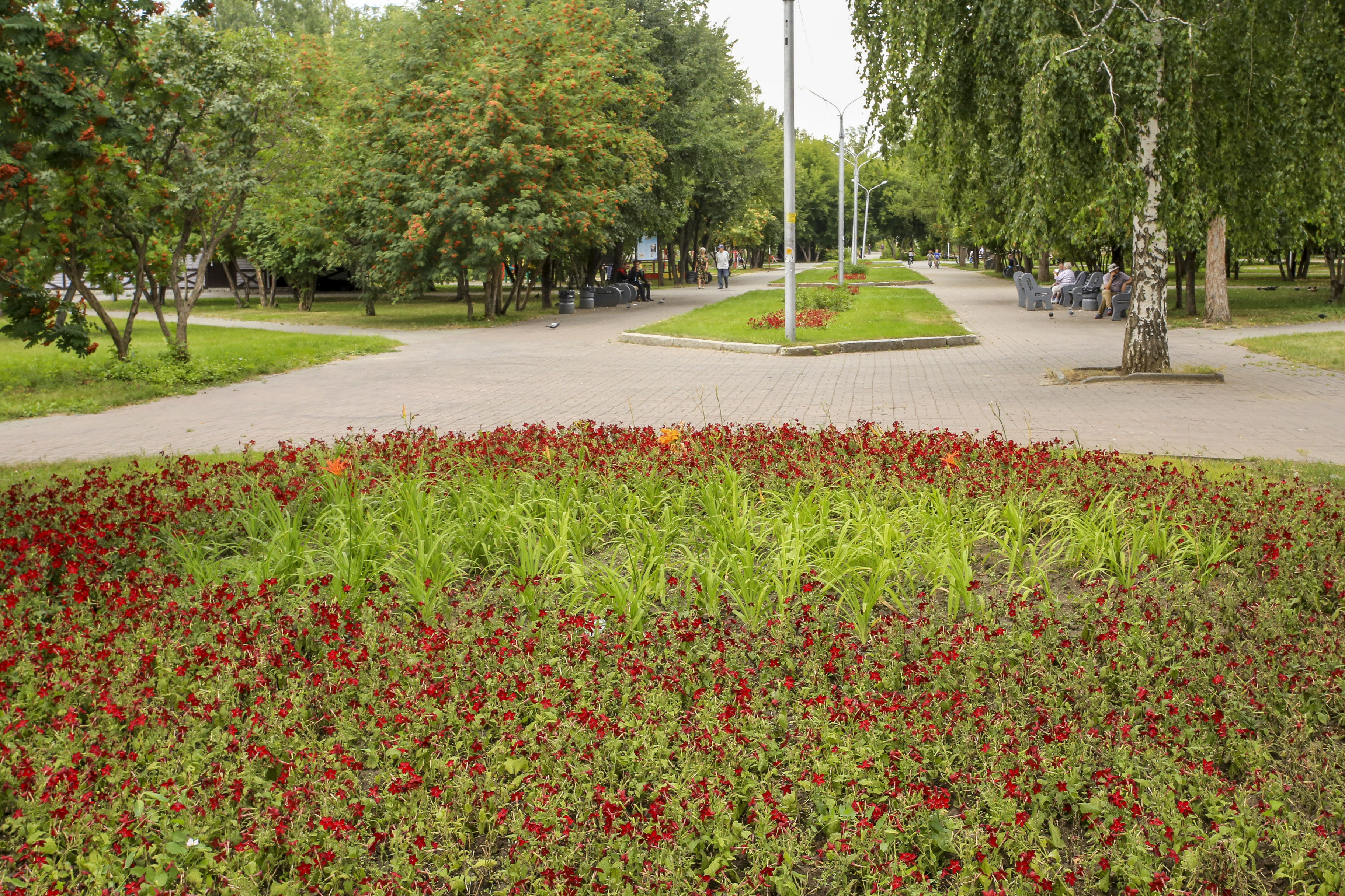Клумбы в сквере имени Чаплыгина