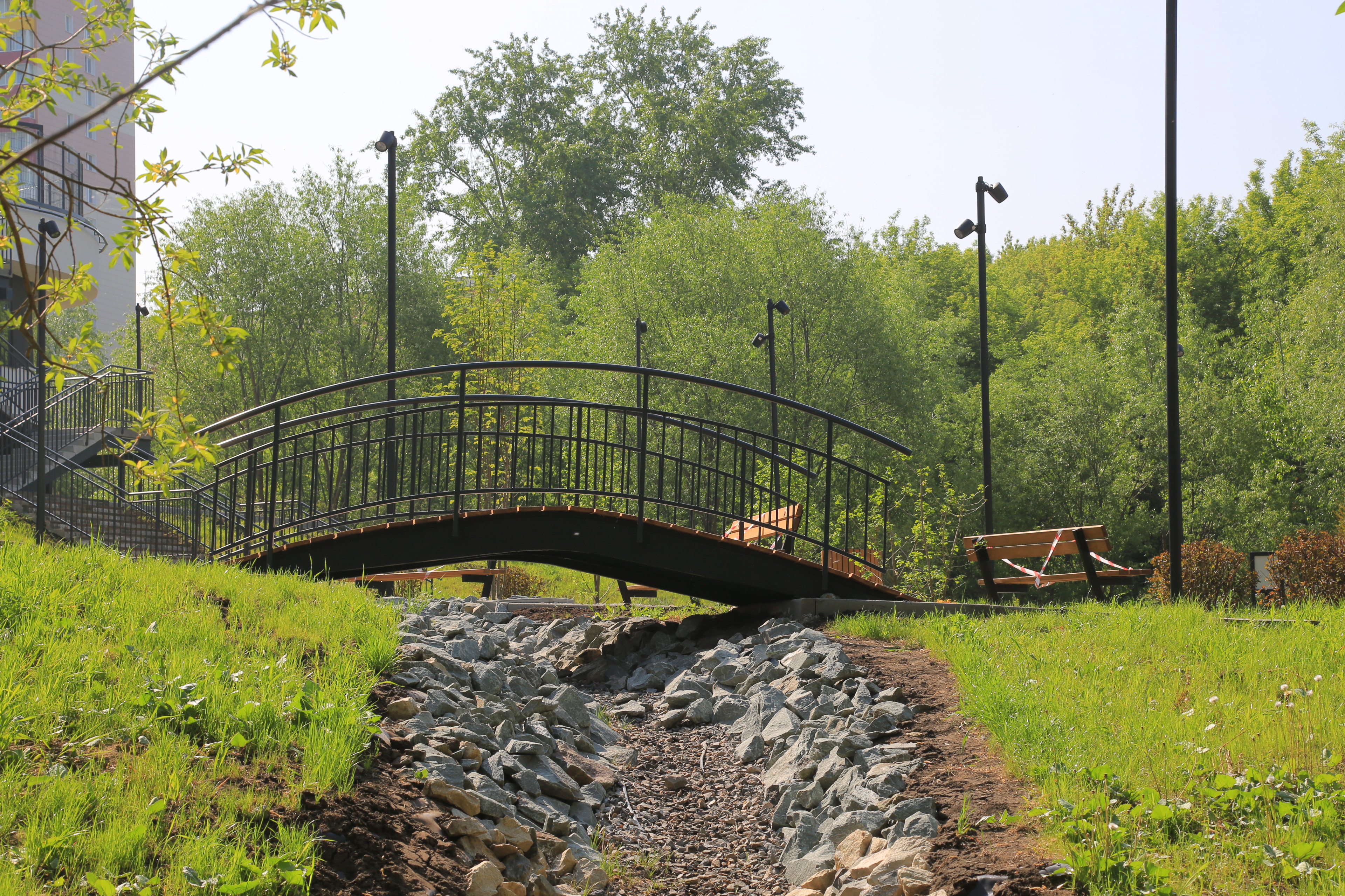 Ельцовский парк (июнь 2023 года)