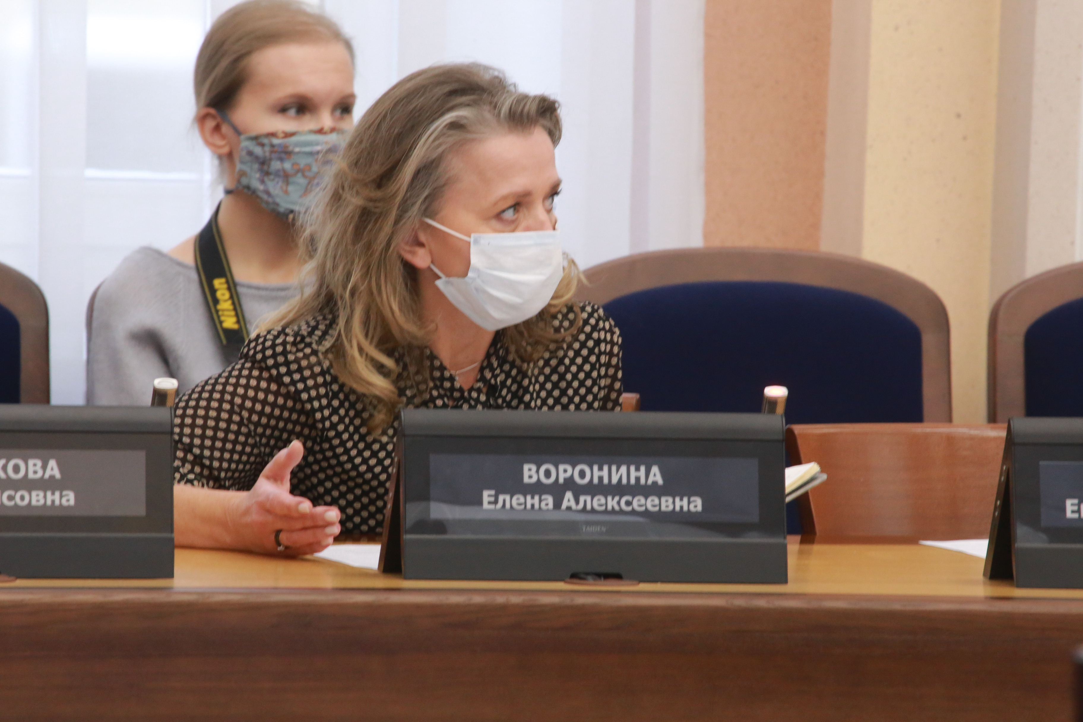 На заседании рабочей группы по водно-зелёному каркасу города